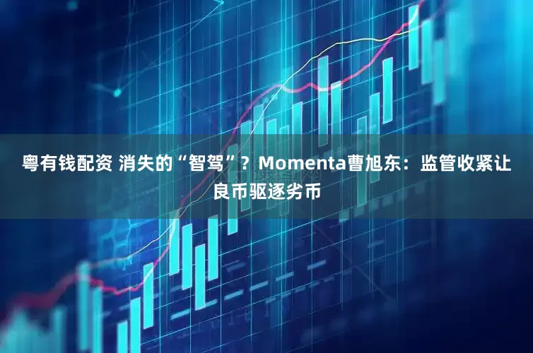粤有钱配资 消失的“智驾”？Momenta曹旭东：监管收紧让良币驱逐劣币