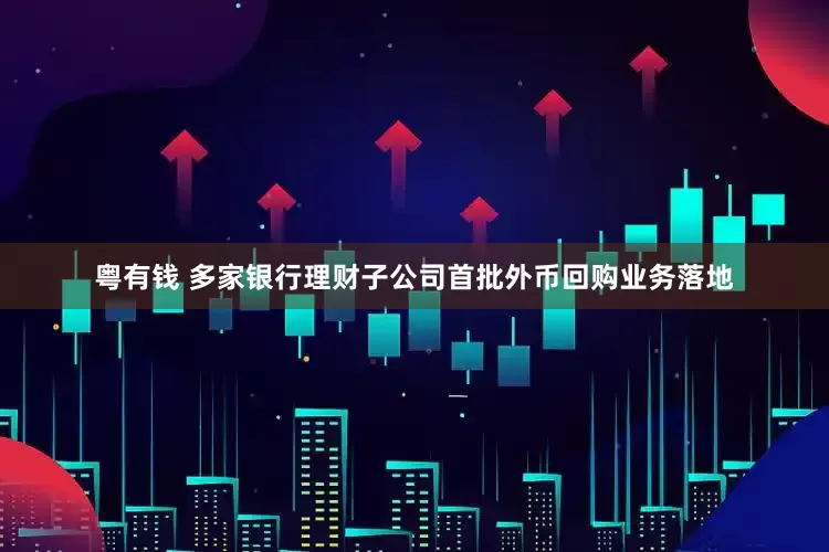 粤有钱 多家银行理财子公司首批外币回购业务落地